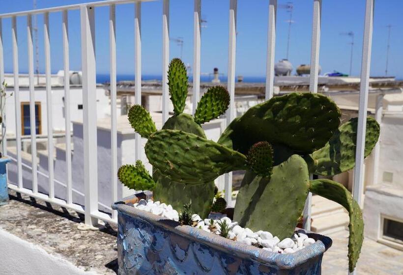 Casabella Con Terrazza Panoramica