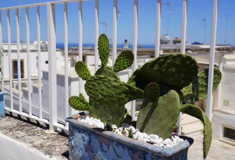 Casabella   Con Terrazza Panoramica