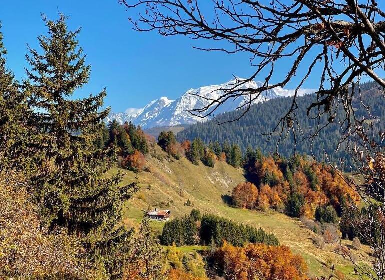 Chalet Familial Au Pied Des Pistes Et Commerces