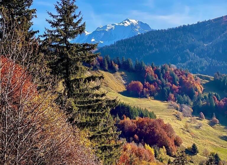 Chalet Familial Au Pied Des Pistes Et Commerces