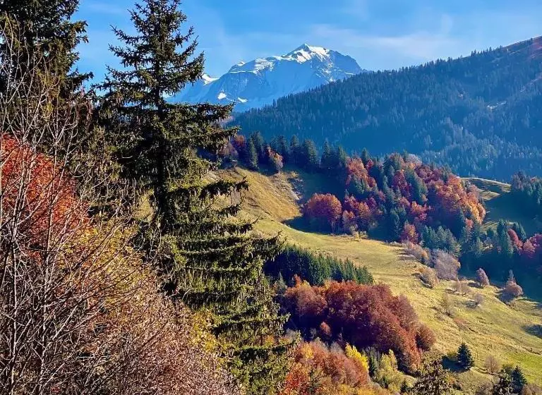 Chalet Familial Au Pied Des Pistes Et Commerces