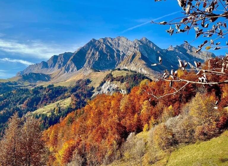 Chalet Familial Au Pied Des Pistes Et Commerces