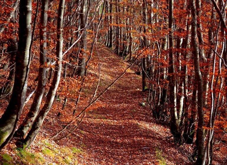 Chalet Familial Au Pied Des Pistes Et Commerces