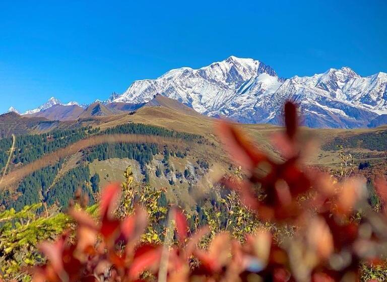 Chalet Familial Au Pied Des Pistes Et Commerces