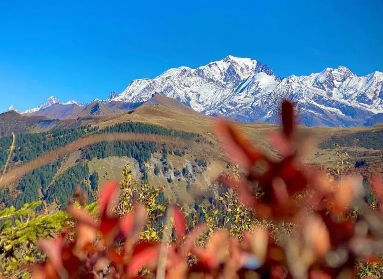 Chalet Familial Au Pied Des Pistes Et Commerces