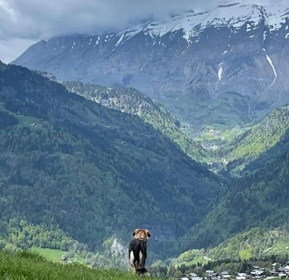 Chalet Familial Au Pied Des Pistes Et Commerces