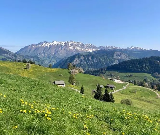 Chalet Familial Au Pied Des Pistes Et Commerces