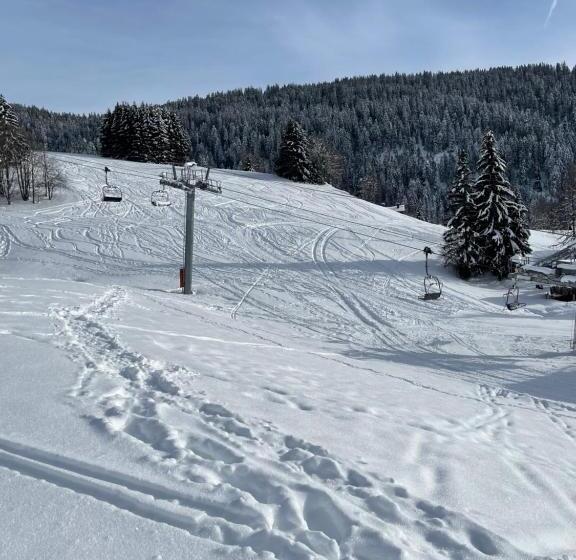 Chalet Familial Au Pied Des Pistes Et Commerces