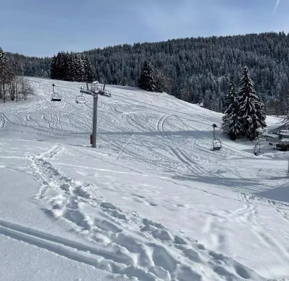 Chalet Familial Au Pied Des Pistes Et Commerces