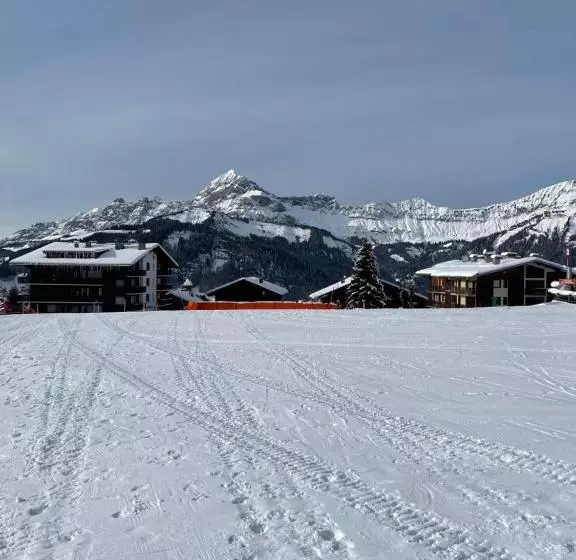 Chalet Familial Au Pied Des Pistes Et Commerces