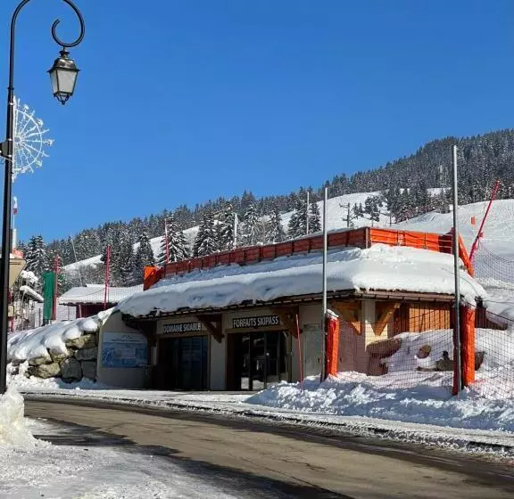 Chalet Familial Au Pied Des Pistes Et Commerces