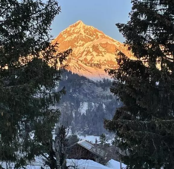 Chalet Familial Au Pied Des Pistes Et Commerces