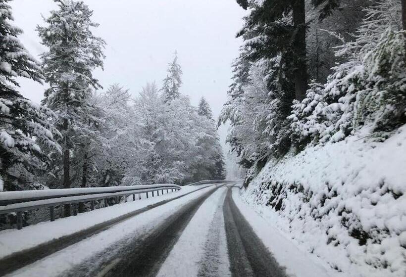 Chalet Familial Au Pied Des Pistes Et Commerces