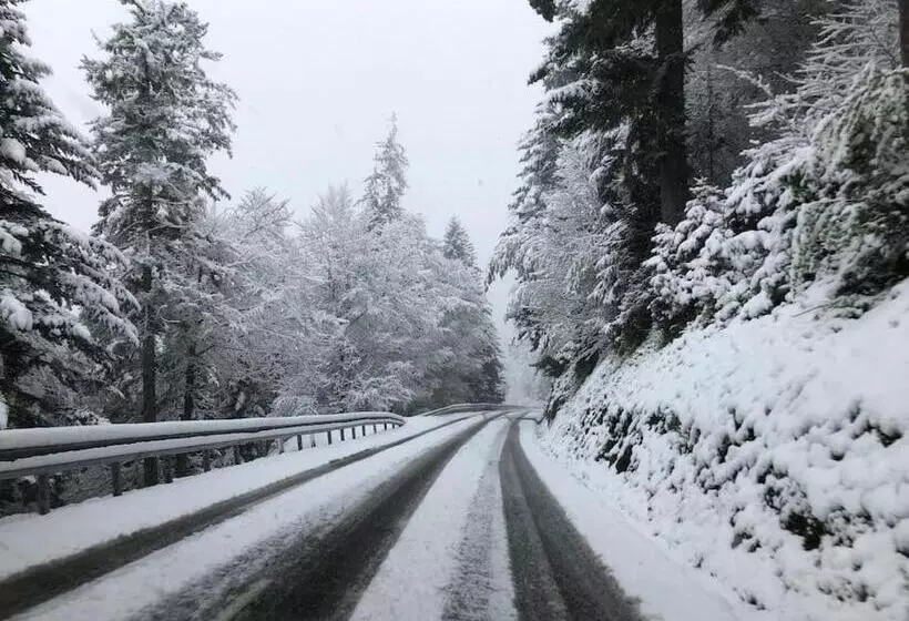 Chalet Familial Au Pied Des Pistes Et Commerces