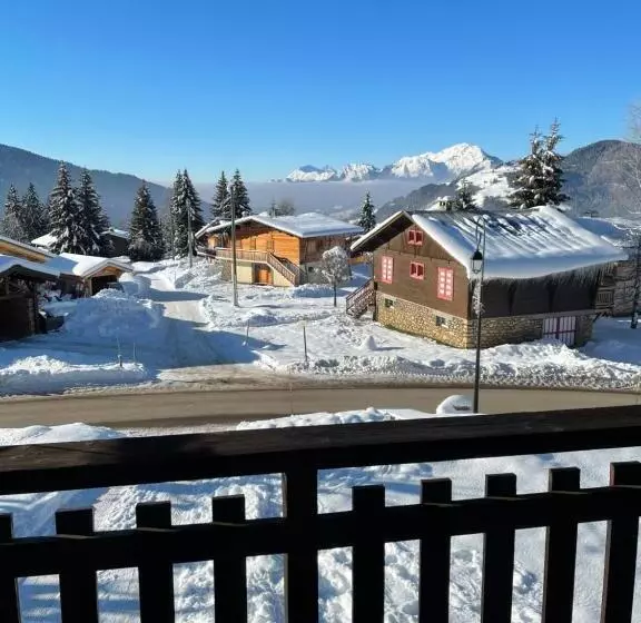 Chalet Familial Au Pied Des Pistes Et Commerces