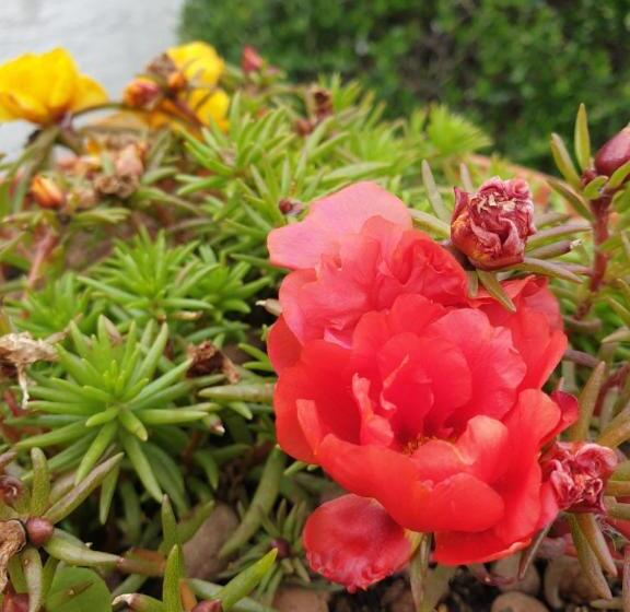 Favola Exclusive B&b