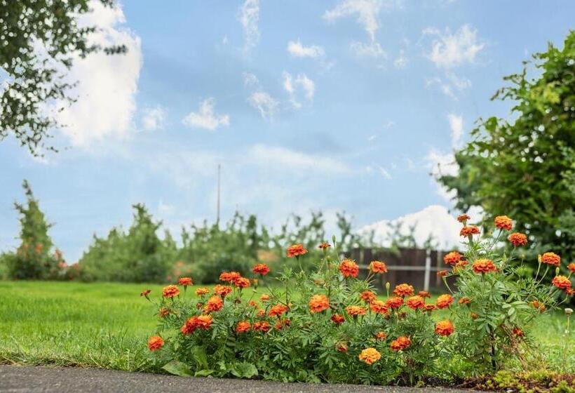 Ferienwohnung Ellenweiler Bis 10 P