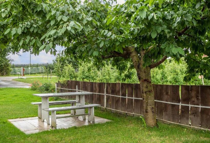 Ferienwohnung Ellenweiler Bis 10 P