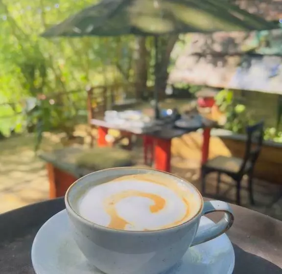 ペンション Moksha Eco Villa Ella