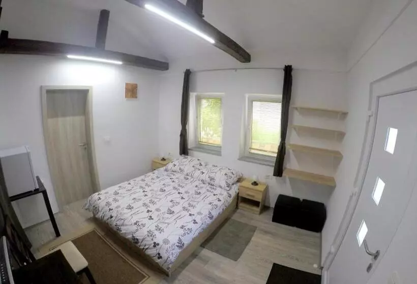 پانسیون The Jungle Apartments And Rooms