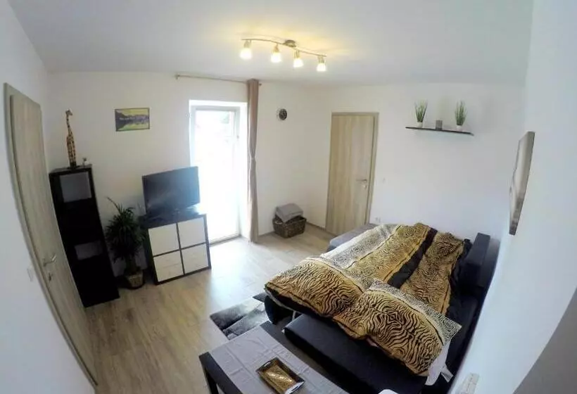 پانسیون The Jungle Apartments And Rooms