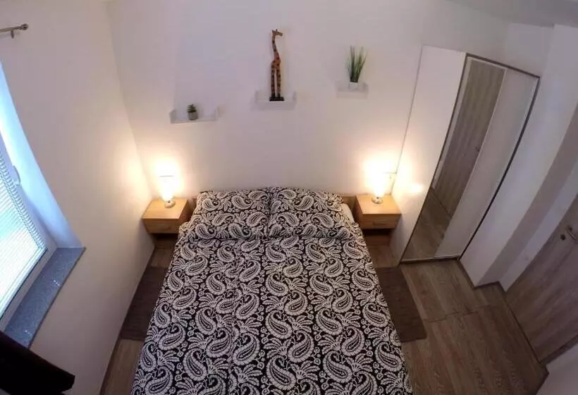 پانسیون The Jungle Apartments And Rooms