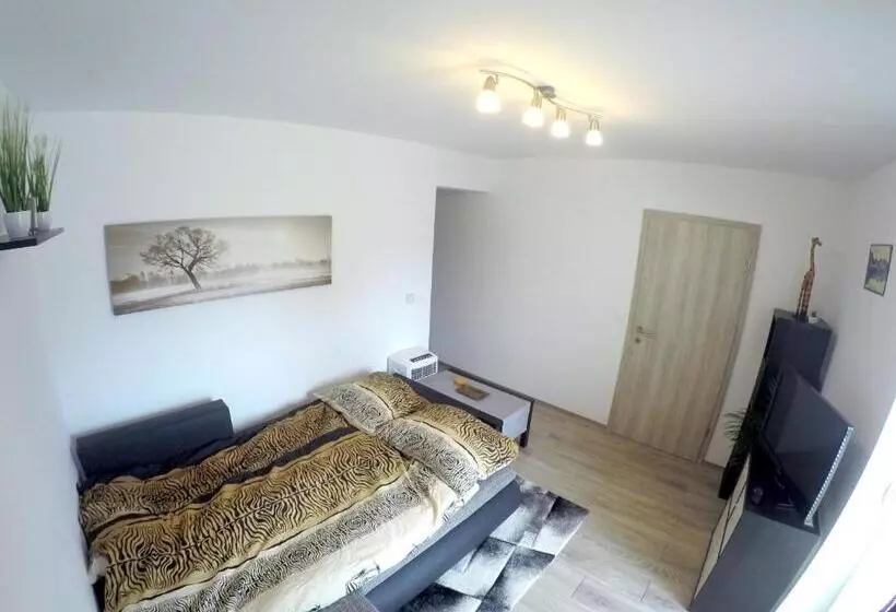 پانسیون The Jungle Apartments And Rooms
