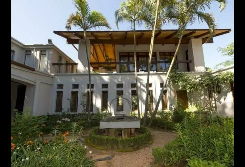 پانسیون Wild Fig Guesthouse