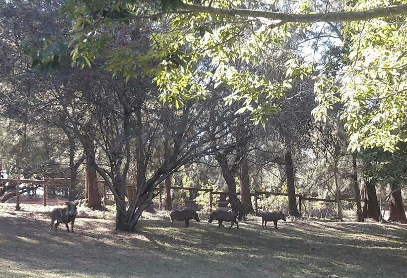 پانسیون Wild Fig Guesthouse