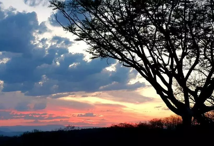 پانسیون Wild Fig Guesthouse