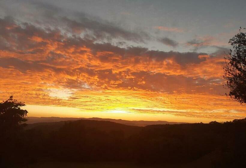 پانسیون Wild Fig Guesthouse