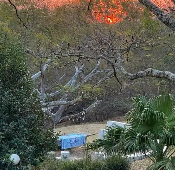 پانسیون Wild Fig Guesthouse