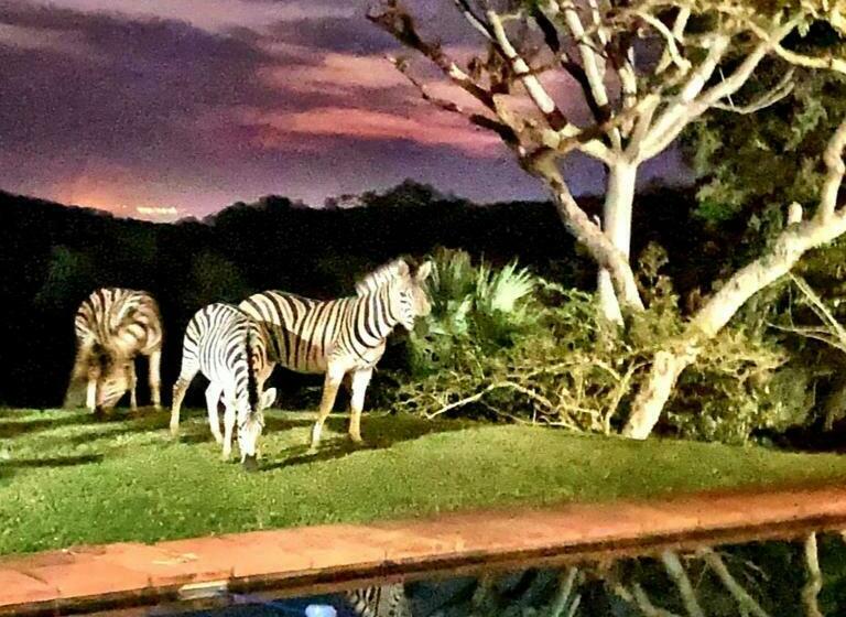 پانسیون Wild Fig Guesthouse