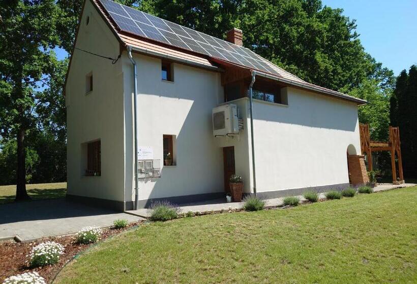 Tiszára Néző Heverésző   Lounger Overlooking The Tisza River
