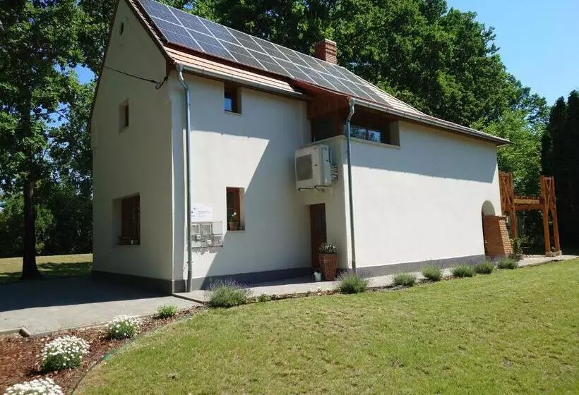 Tiszára Néző Heverésző   Lounger Overlooking The Tisza River