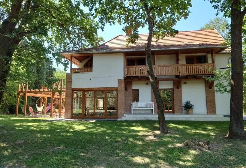 Tiszára Néző Heverésző   Lounger Overlooking The Tisza River
