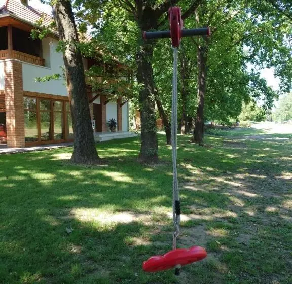 Tiszára Néző Heverésző   Lounger Overlooking The Tisza River