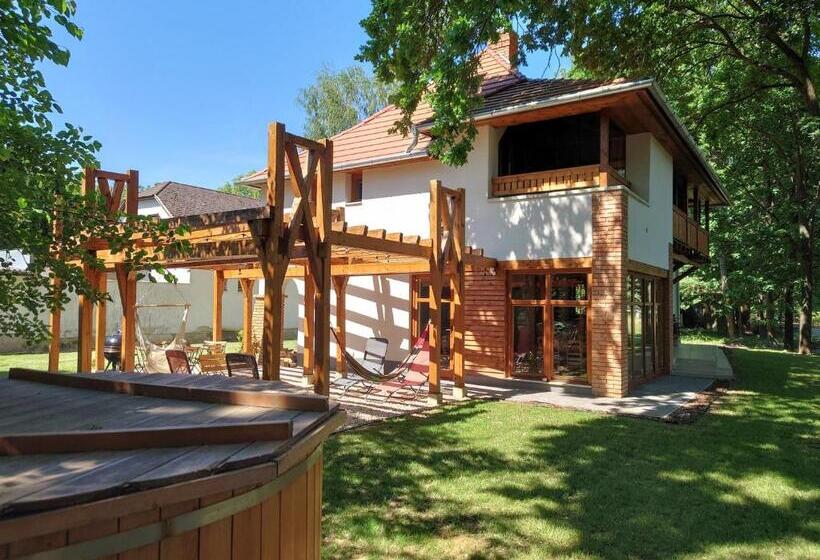 Tiszára Néző Heverésző   Lounger Overlooking The Tisza River