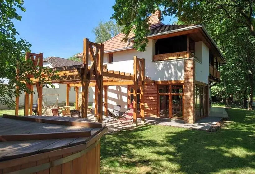 Tiszára Néző Heverésző   Lounger Overlooking The Tisza River