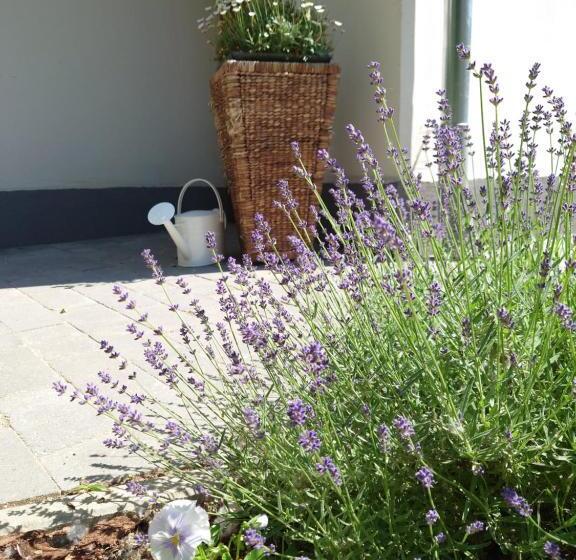 Tiszára Néző Heverésző   Lounger Overlooking The Tisza River