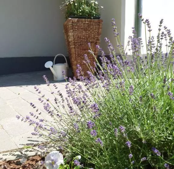Tiszára Néző Heverésző   Lounger Overlooking The Tisza River