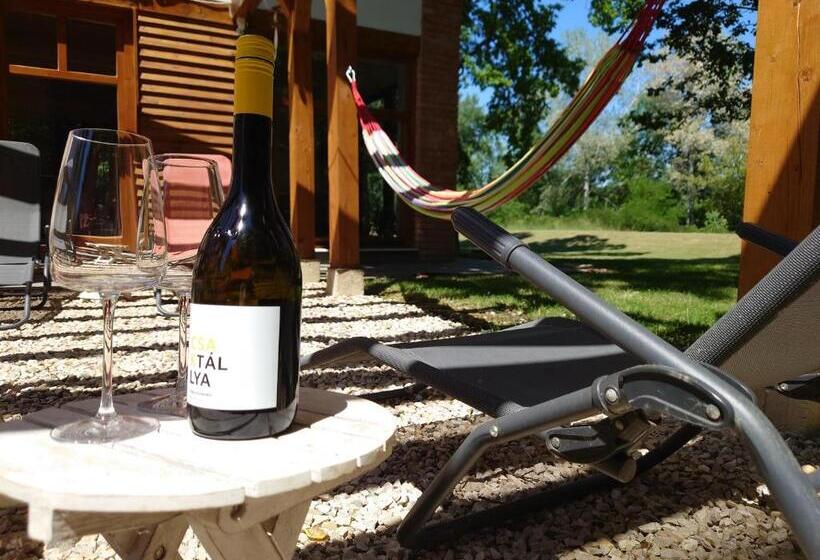 Tiszára Néző Heverésző   Lounger Overlooking The Tisza River