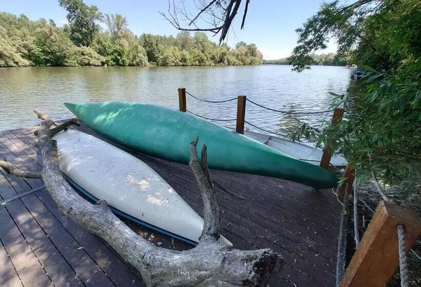 Tiszára Néző Heverésző   Lounger Overlooking The Tisza River