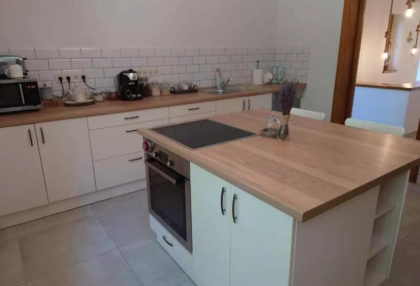 Tiszára Néző Heverésző   Lounger Overlooking The Tisza River