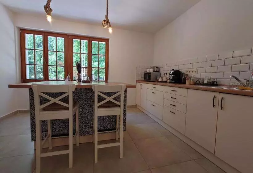 Tiszára Néző Heverésző   Lounger Overlooking The Tisza River