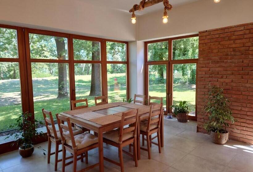 Tiszára Néző Heverésző   Lounger Overlooking The Tisza River