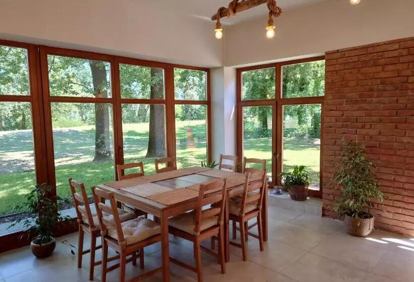 Tiszára Néző Heverésző   Lounger Overlooking The Tisza River