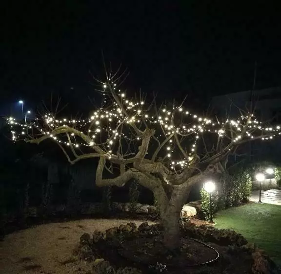 B&b I Trulli Dei Desideri