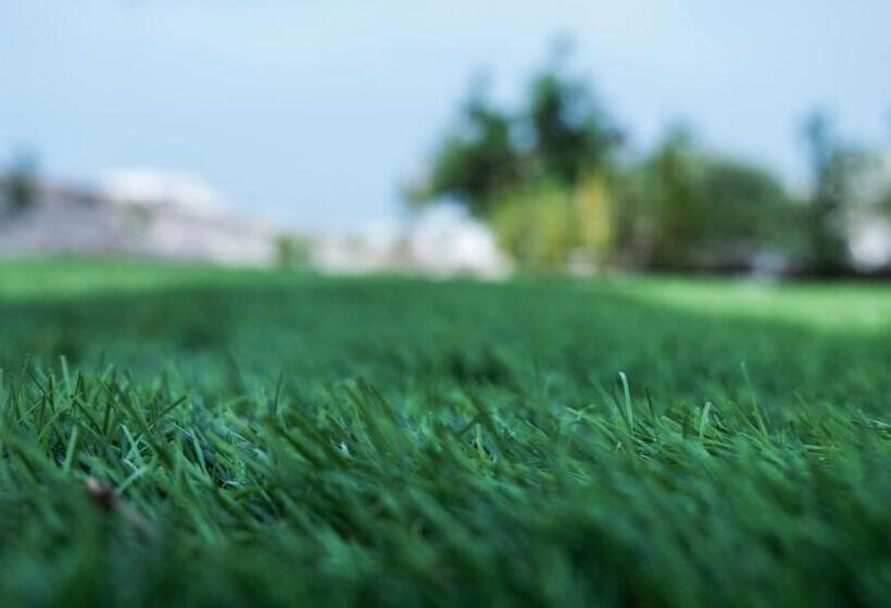 B&b I Trulli Dei Desideri