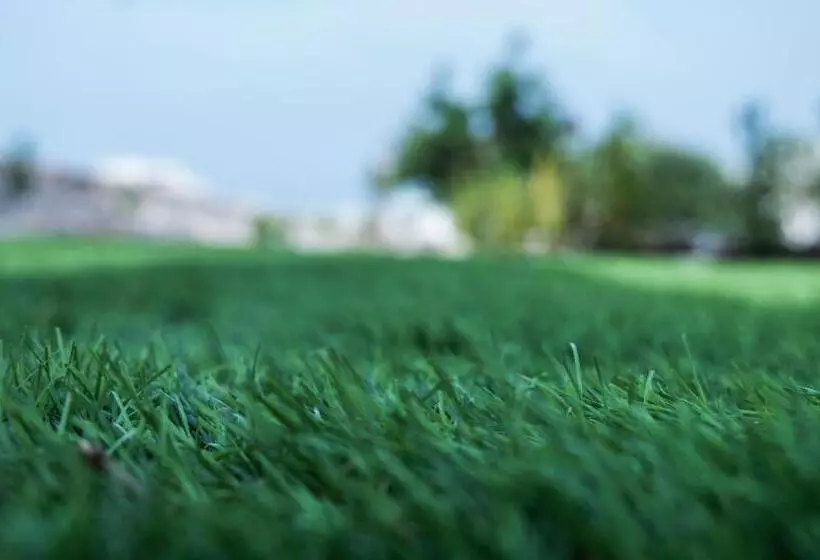 B&b I Trulli Dei Desideri